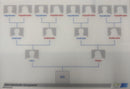 Individuelles Genogramm