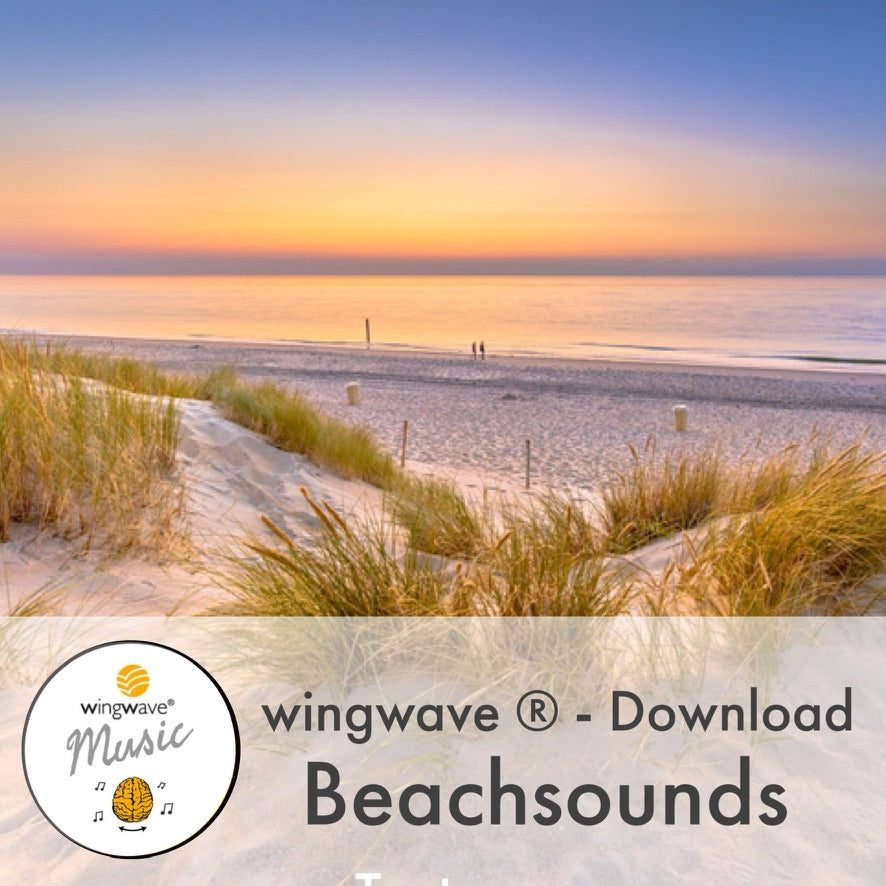 Beachsounds wingwave Shop