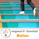 „motion“ (album „strandspaziergang“)