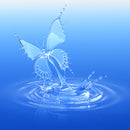 *NUOVO* Feelwave Long „WAVES“