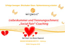 DVD - Liebeskummer und Trennungsschmerz: Social Pain- Coaching mit wingwave, DVNLP-Kongress 2018