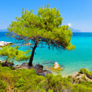 „mediterranean wave“ (album „wingwave world“)