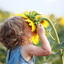 "nature journey" (album „wingwave children")