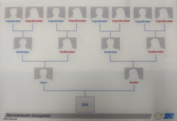 Individuelles Genogramm