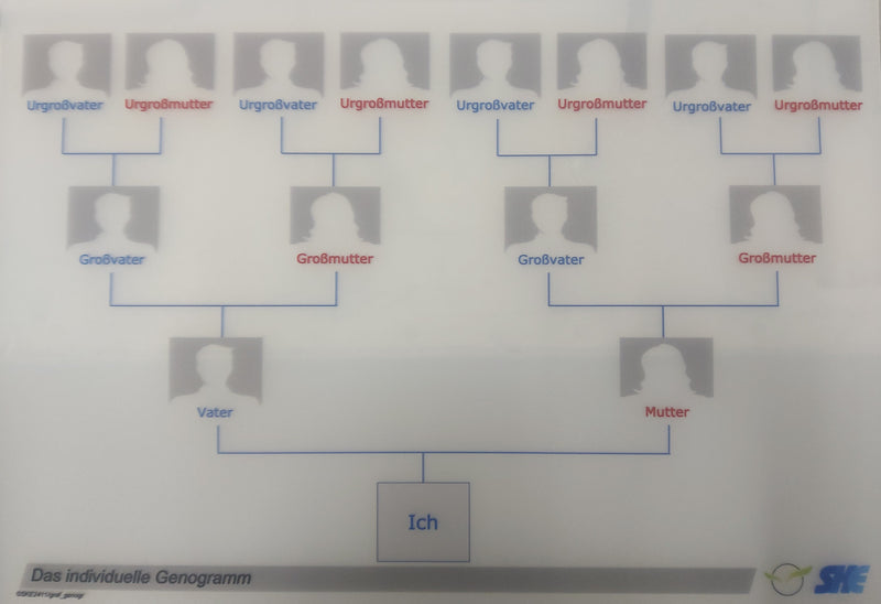 Individuelles Genogramm