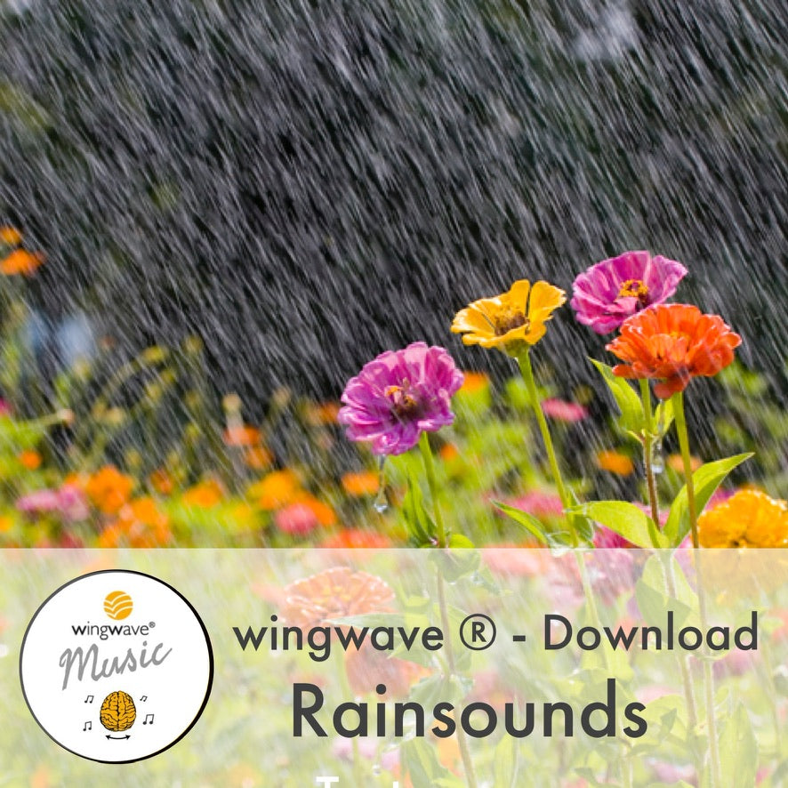 Rainsounds wingwave Shop