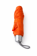 Wingwave-Regenschirm (Taschenschirm)