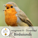 Download-MP3 Track: Birdsounds