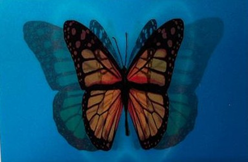 wingwave Wingwave-Karte "Butterfly"